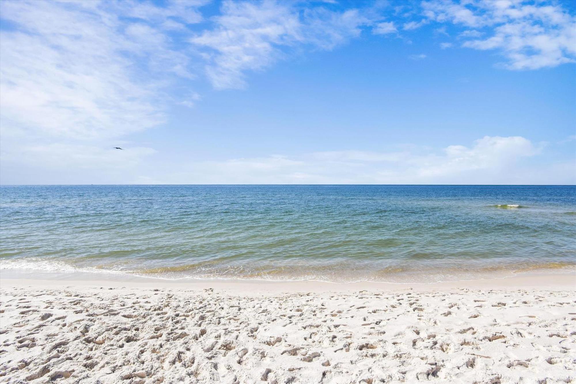 Vila Tradewinds Unit 608 Orange Beach Exteriér fotografie